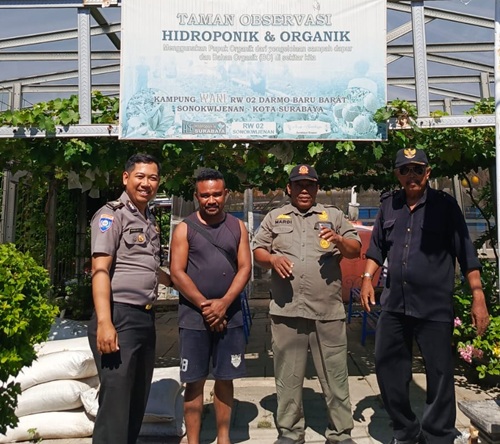 Bhabinkamtibmas Polsek Sukomanunggal Aktif Dukung Program Ketahanan Pangan di Sonokwijenan