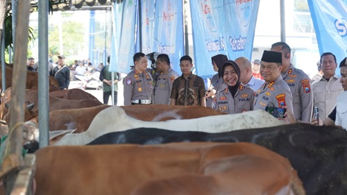 Polrestabes Surabaya Salurkan Hewan Qurban jelang Idul Adha 1447H
